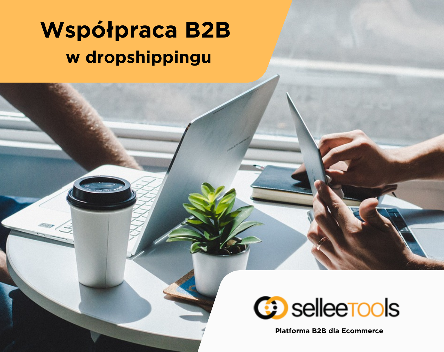 Czym jest współpraca B2B i dlaczego jest ważna dla Twojej firmy?