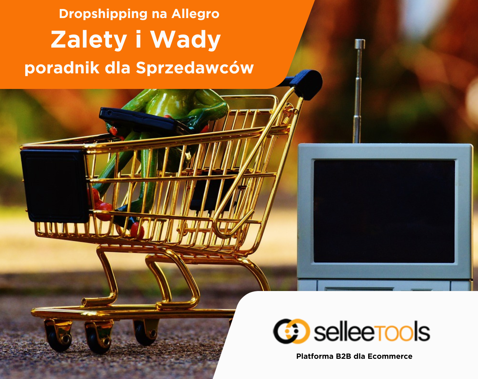 Dropshipping na Allegro – Czy To Się Opłaca? Zalety i Wady