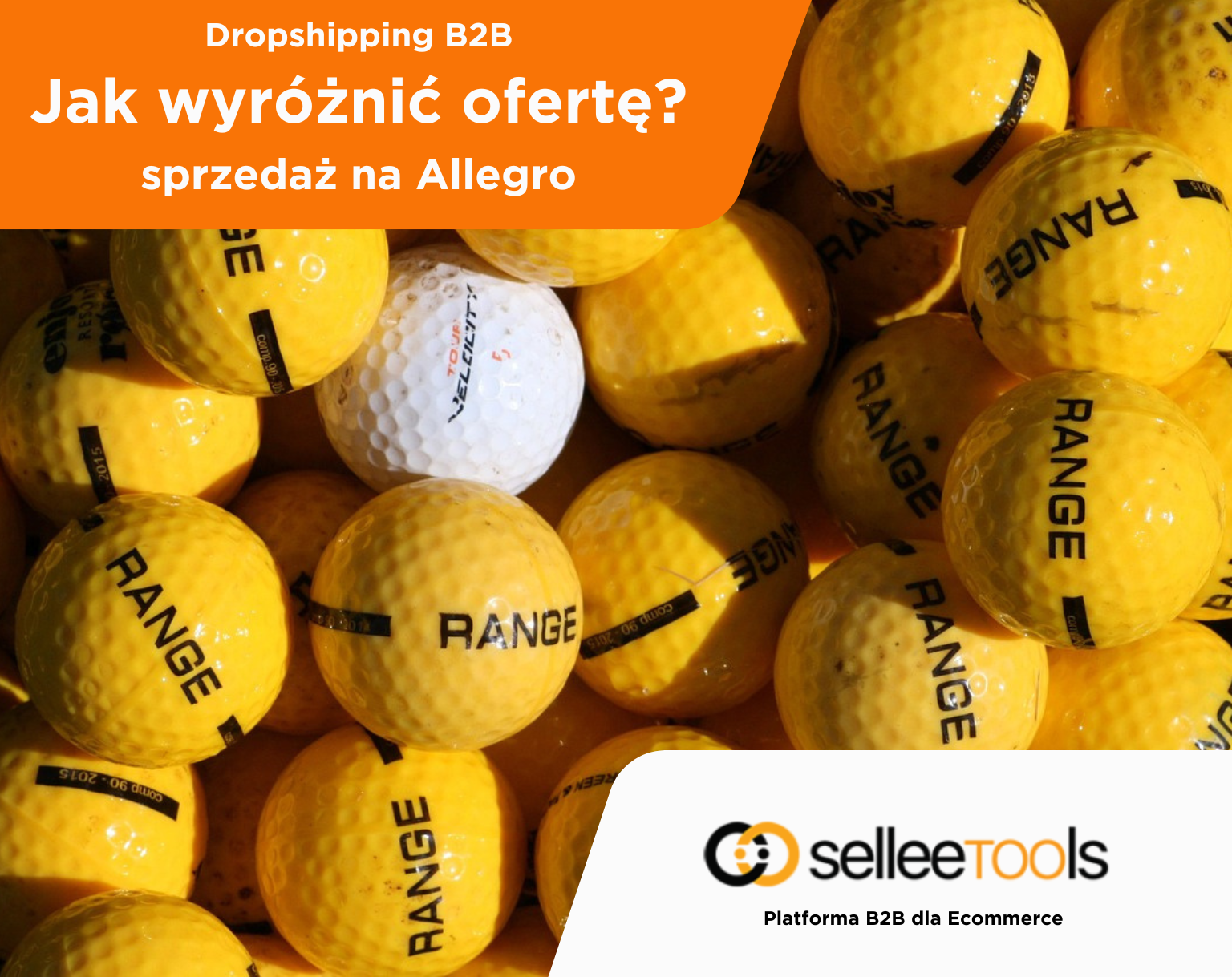 Jak Wyróżnić się w Dropshippingu na Allegro i Pokonać Konkurencję?