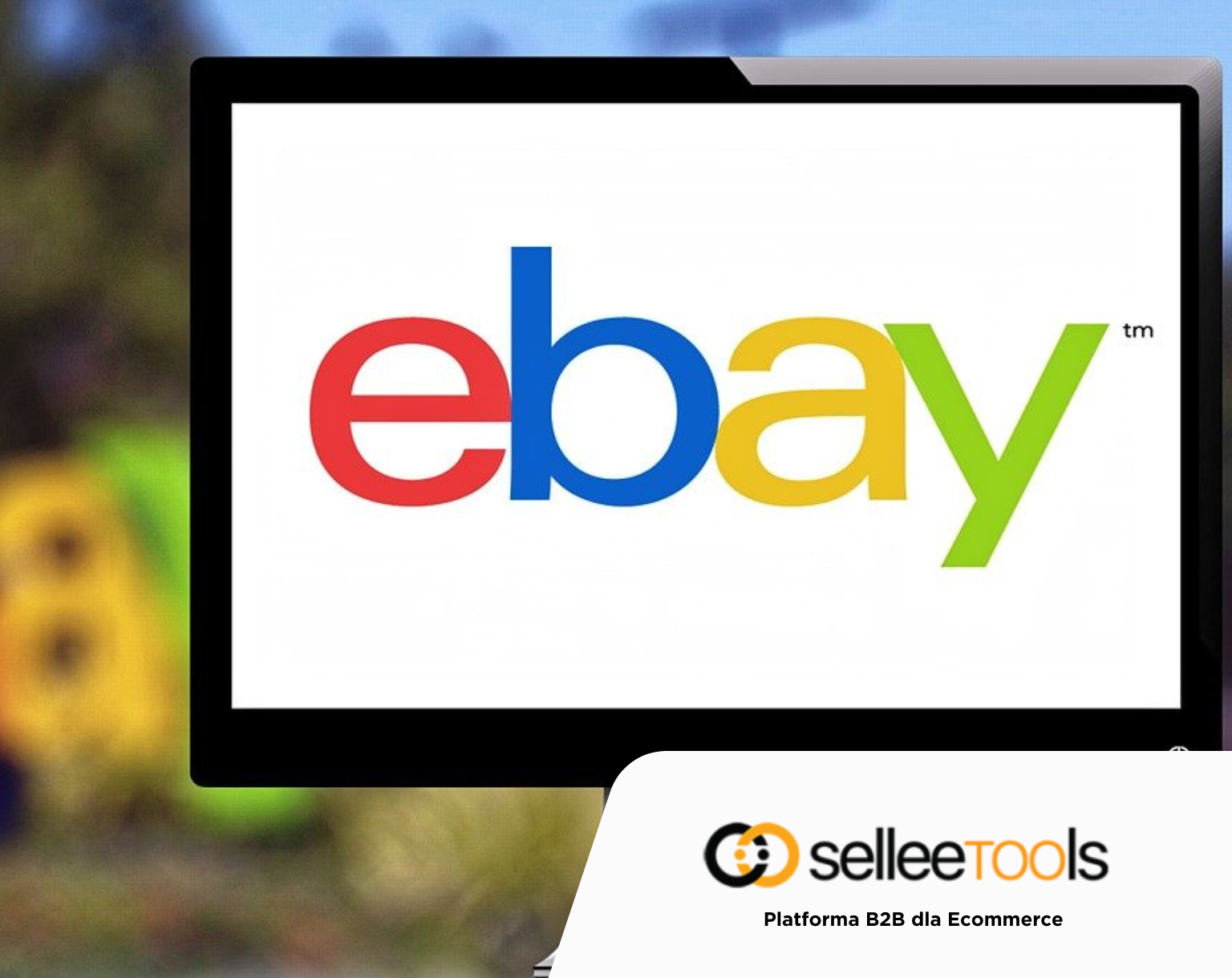 Dropshipping na eBay Krok po Kroku – Kompletny Przewodnik dla Początkujących