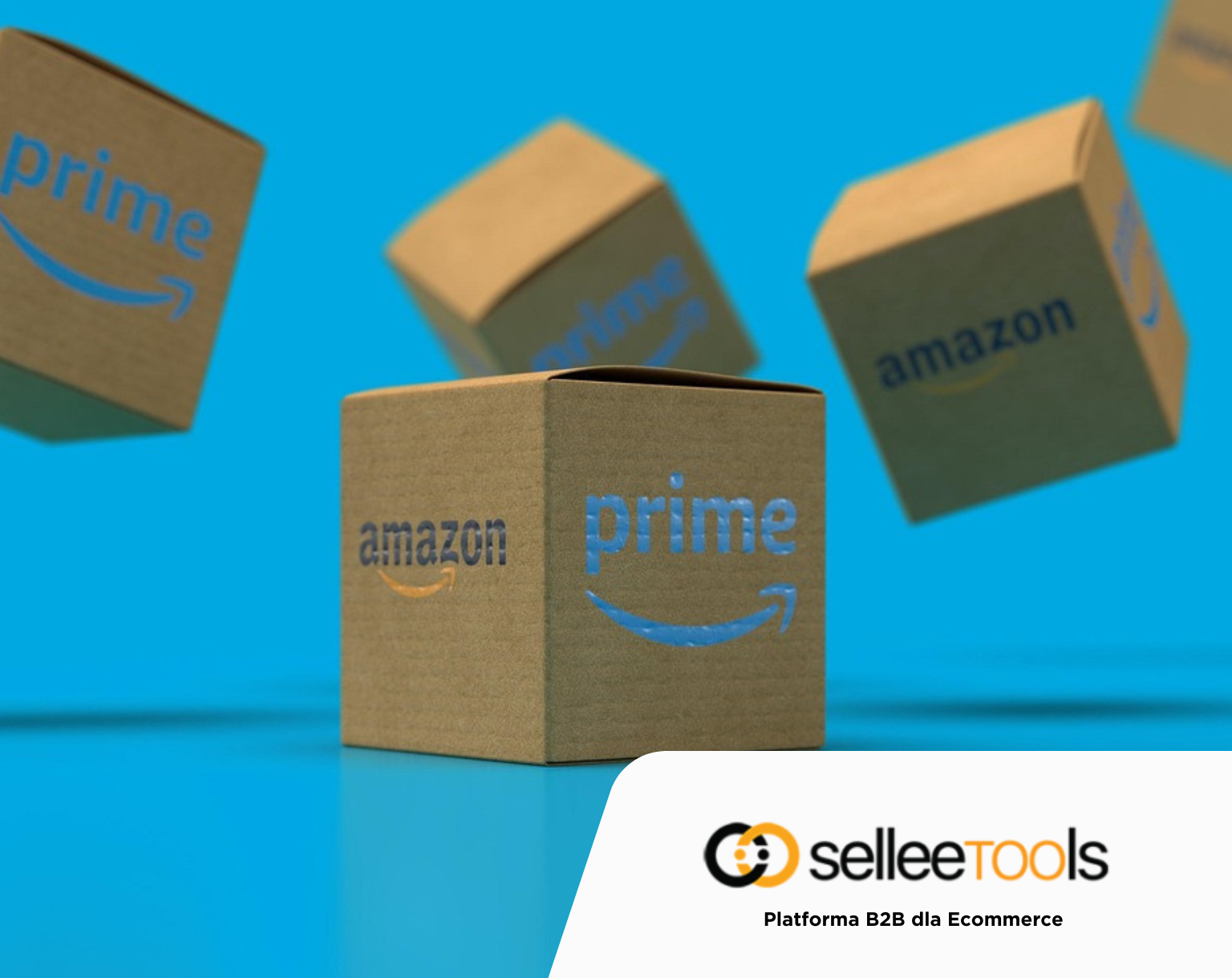 Amazon czy eBay – który marketplace jest lepszy dla początkujących sprzedawców?