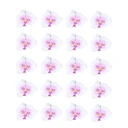 51e72d311a2216c4415ed438eb18e320.webp